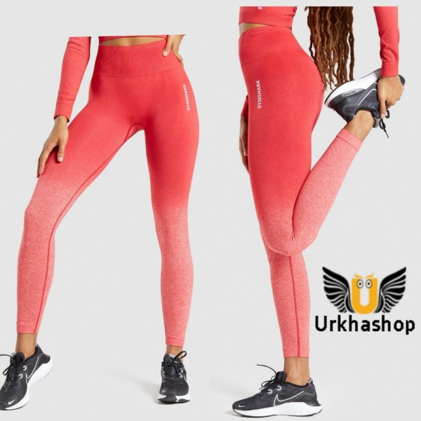 ADAPT OMBRE SEAMLESS LEGGINGS FOR GYM